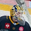 Прогноз на матч Айсберен Берлин – Лукко [05.09.2025]: немцы рассчитывают на победу